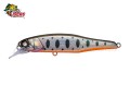 Isca Whiplash Factory Thunderbuck Ram 93SP - 9,3cm 11,7g Cor T22PHG