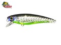 Isca Fury Rex 65SP 6,5cm 6,2g Cor MSC