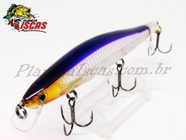 Isca Rapala Ripstop Minnow 120 12cm 14g Cor PD