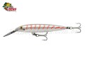 Isca Rapala CD Magnum 9cm 17g Cor CG