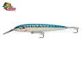 Isca Rapala CD Magnum 9cm 17g Cor SM
