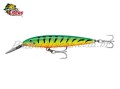Isca Rapala CD Magnum 9cm 17g Cor FT