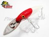 Imagem 2